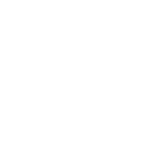 Web-Zoom-white